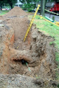digging up